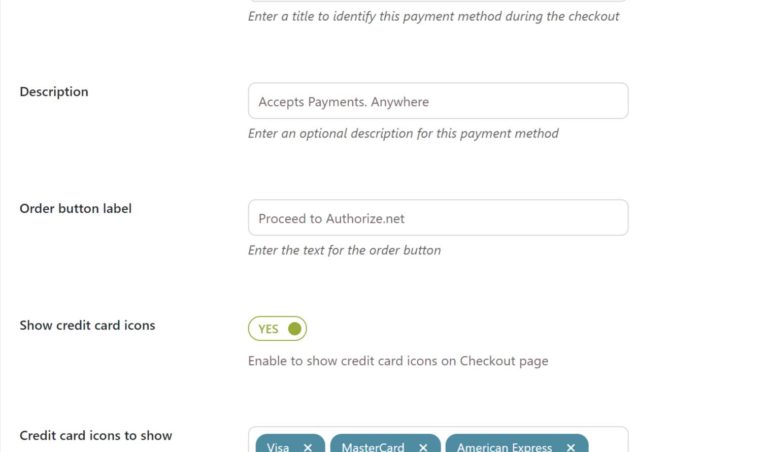 Credit card payment settings - Customization