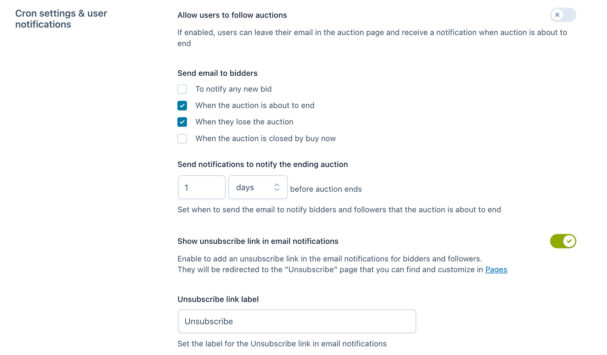 Auction options - Cron settings