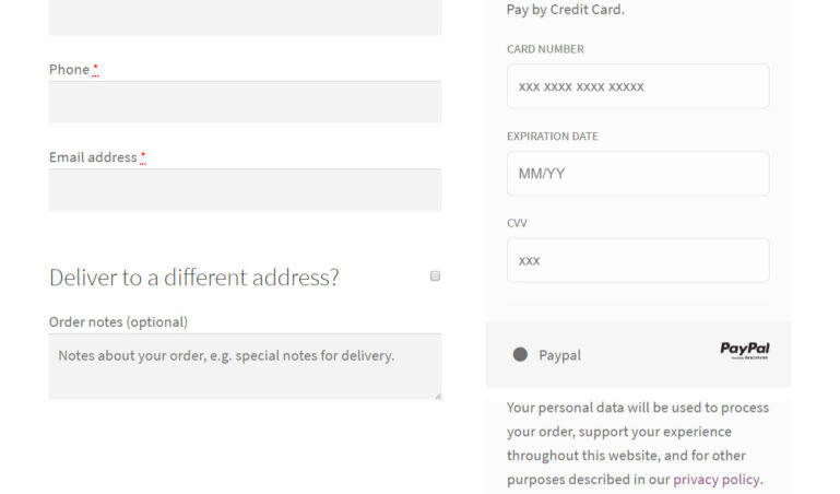 Checkout - Card payment selected