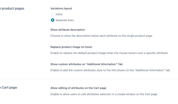 General options (2/2)