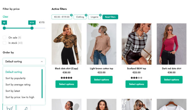 Price slider, in-stock filter, and reset filter button
